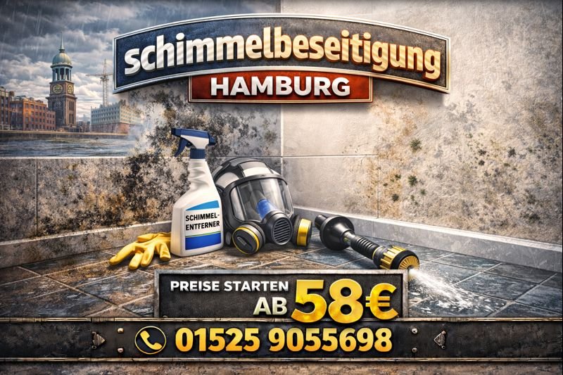 schimmelbeseitigung hamburg