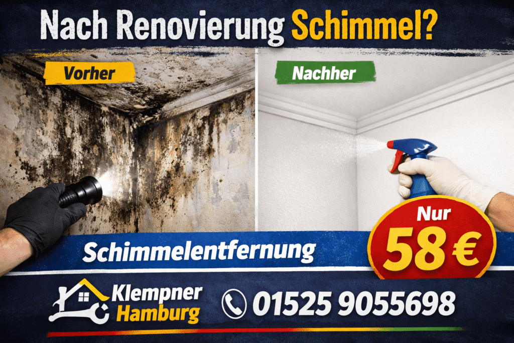 nach renovierung schimmel