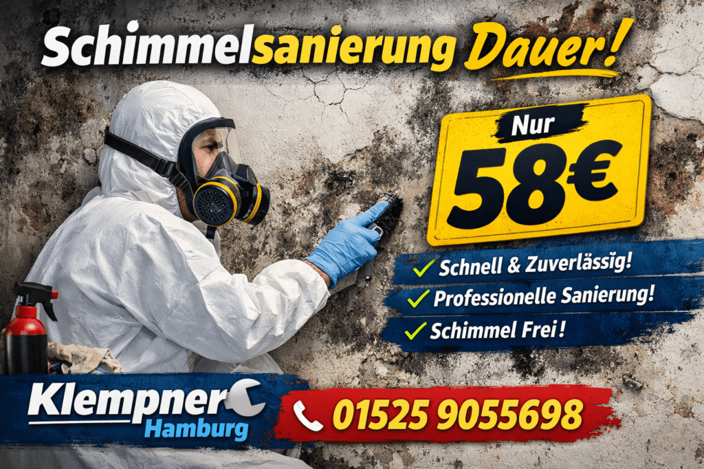 schimmelsanierung dauer