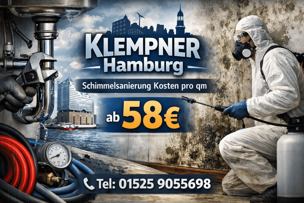 schimmelsanierung kosten pro qm