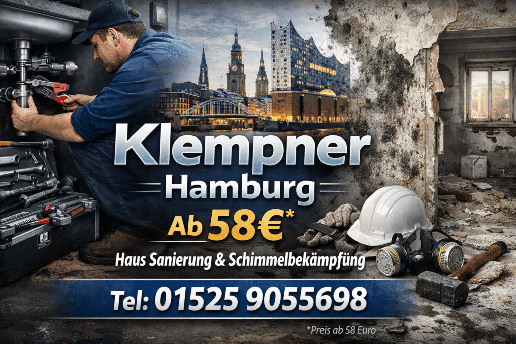 schimmel sanierung haus kosten