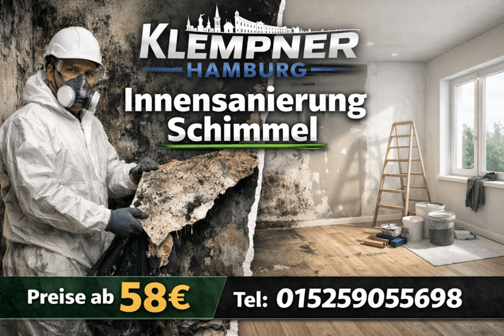 innensanierung schimmel