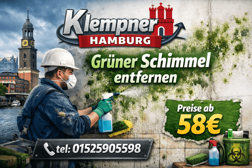 Grüner Schimmel entfernen