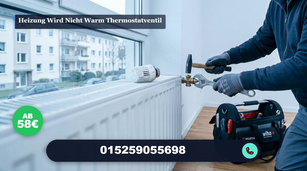 heizung wird nicht warm thermostatventil